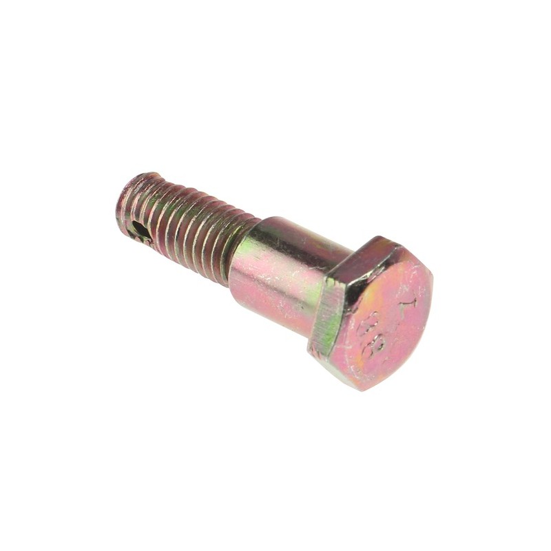 TORNILLO CUBIERTA FRENO TRAS
