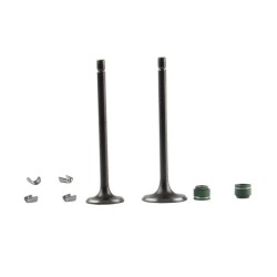 KIT VALVULAS MOTOR