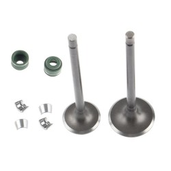KIT VALVULAS MOTOR