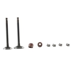 KIT VALVULAS MOTOR