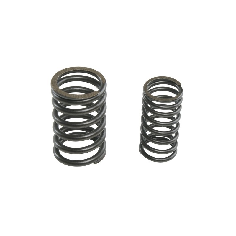 CONJ RESORTE VALVULA