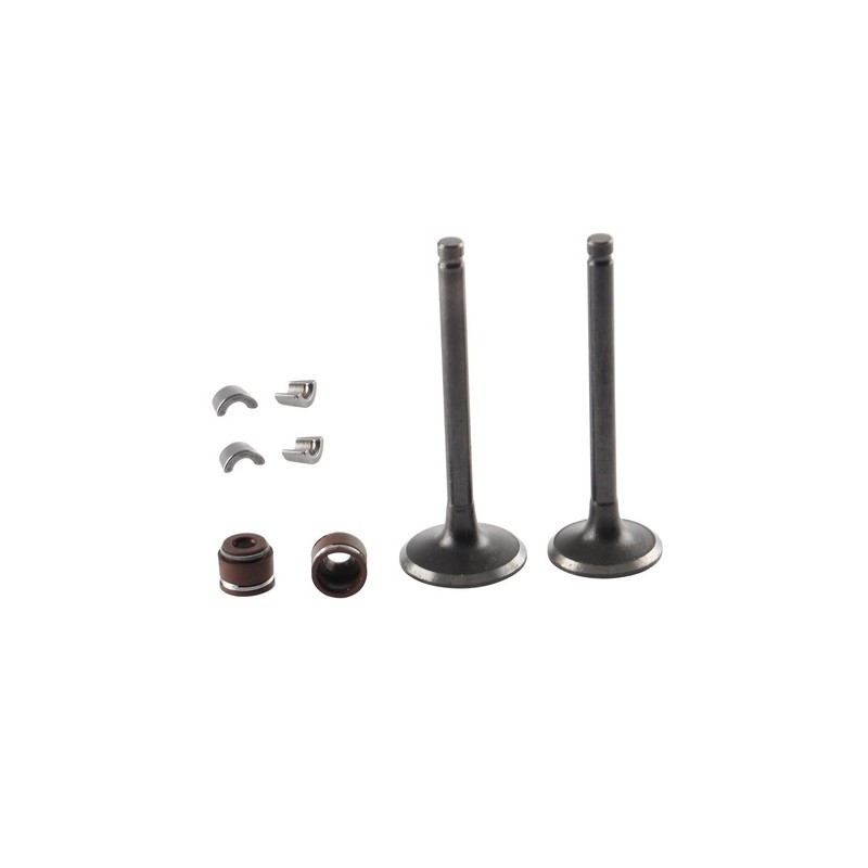KIT VALVULAS MOTOR