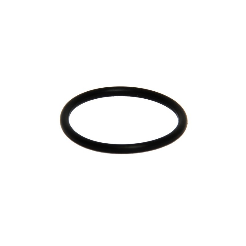 O-RING D27 d2